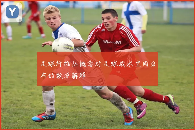 足球纤维丛概念对足球战术空间分布的数学解释